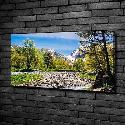 Tableau sur toile Rivière dans les montagnes