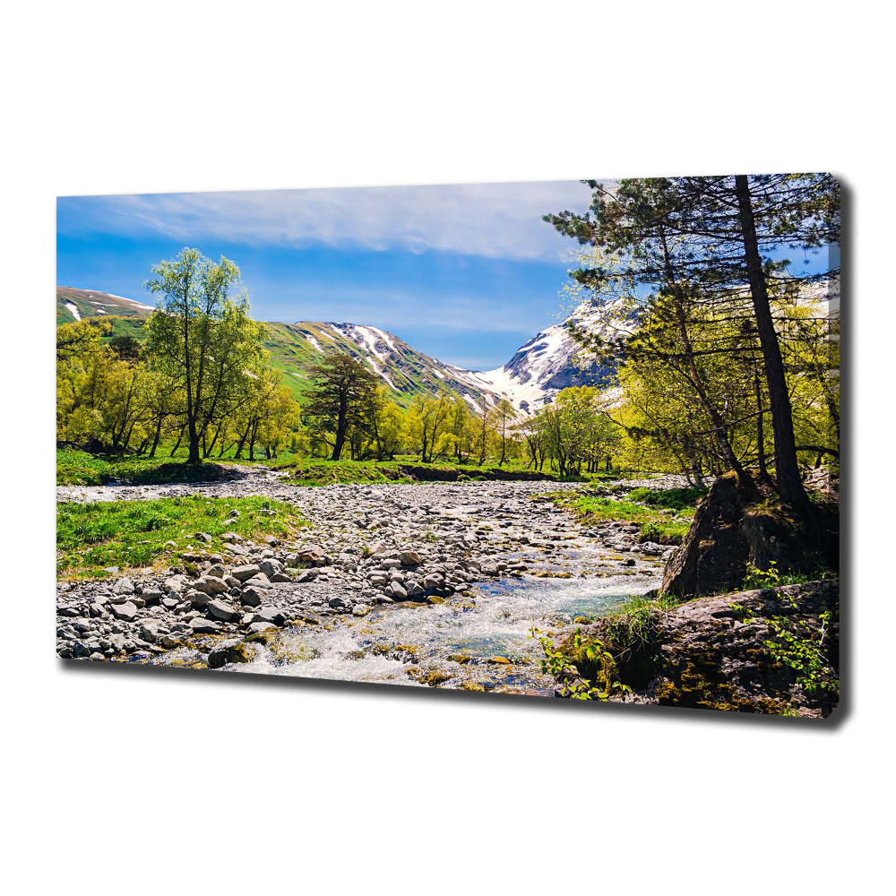 Tableau sur toile Rivière dans les montagnes