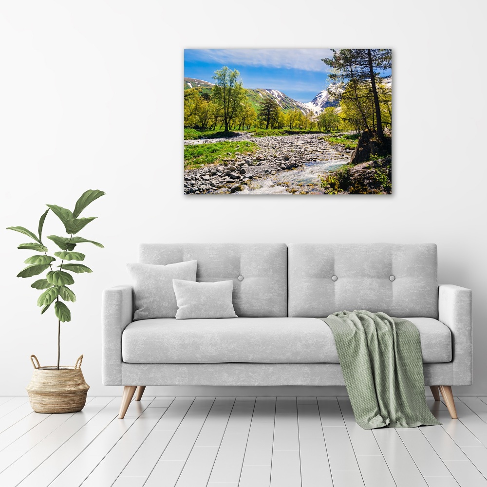 Tableau sur toile Rivière dans les montagnes