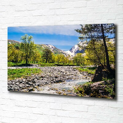 Tableau sur toile Rivière dans les montagnes