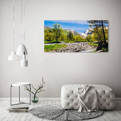 Tableau sur toile Rivière dans les montagnes