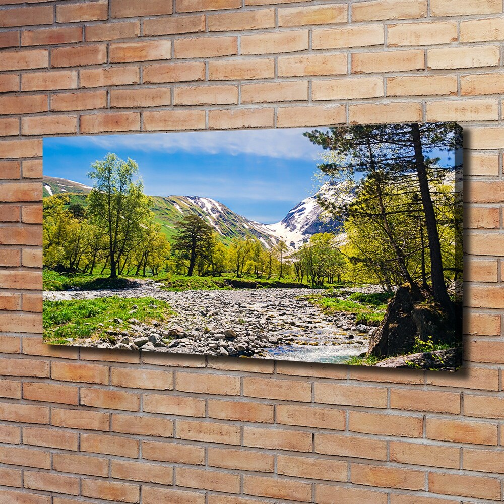 Tableau sur toile Rivière dans les montagnes