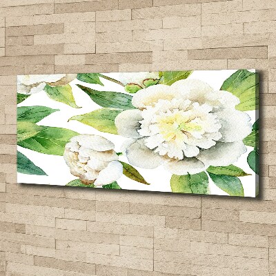 Tableau imprimé sur toile Pivoines