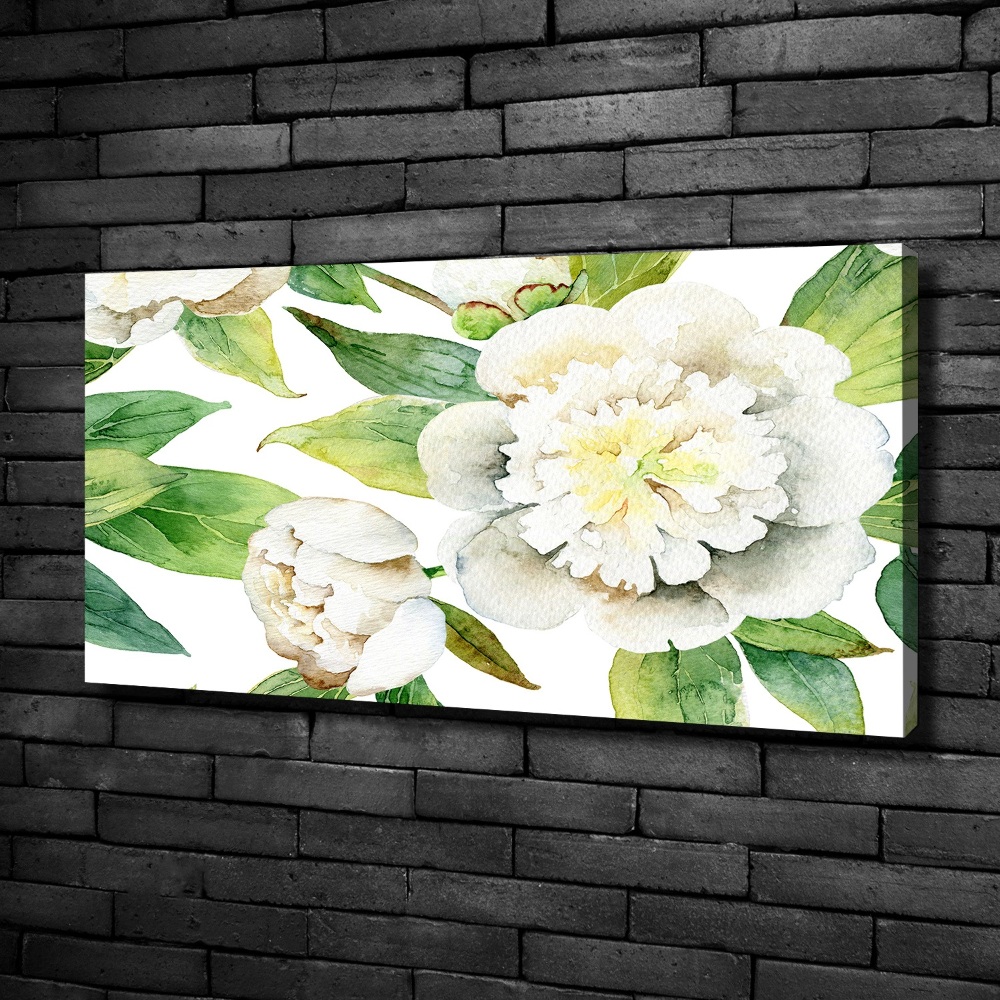 Tableau imprimé sur toile Pivoines