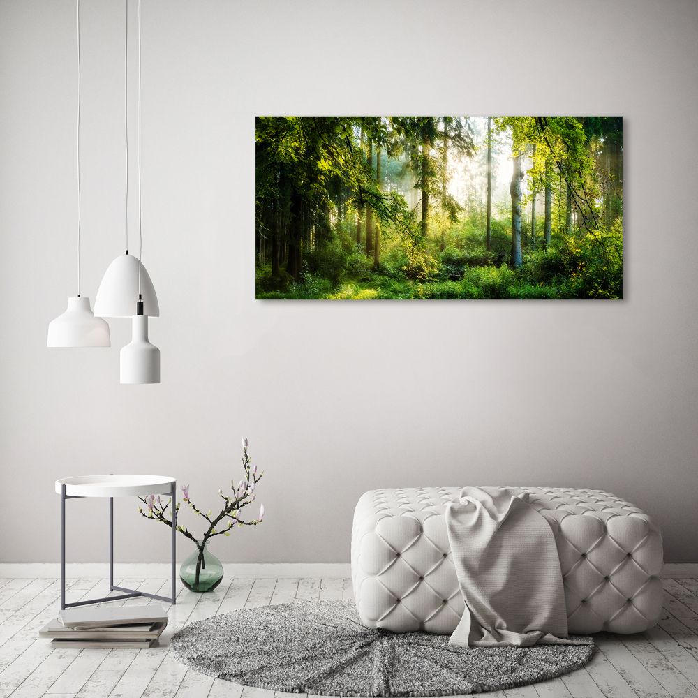 Tableau photo sur toile Forêt au soleil du matin