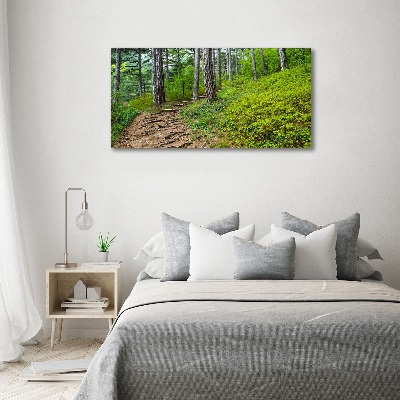 Tableau imprimé sur toile Chemin de forêt