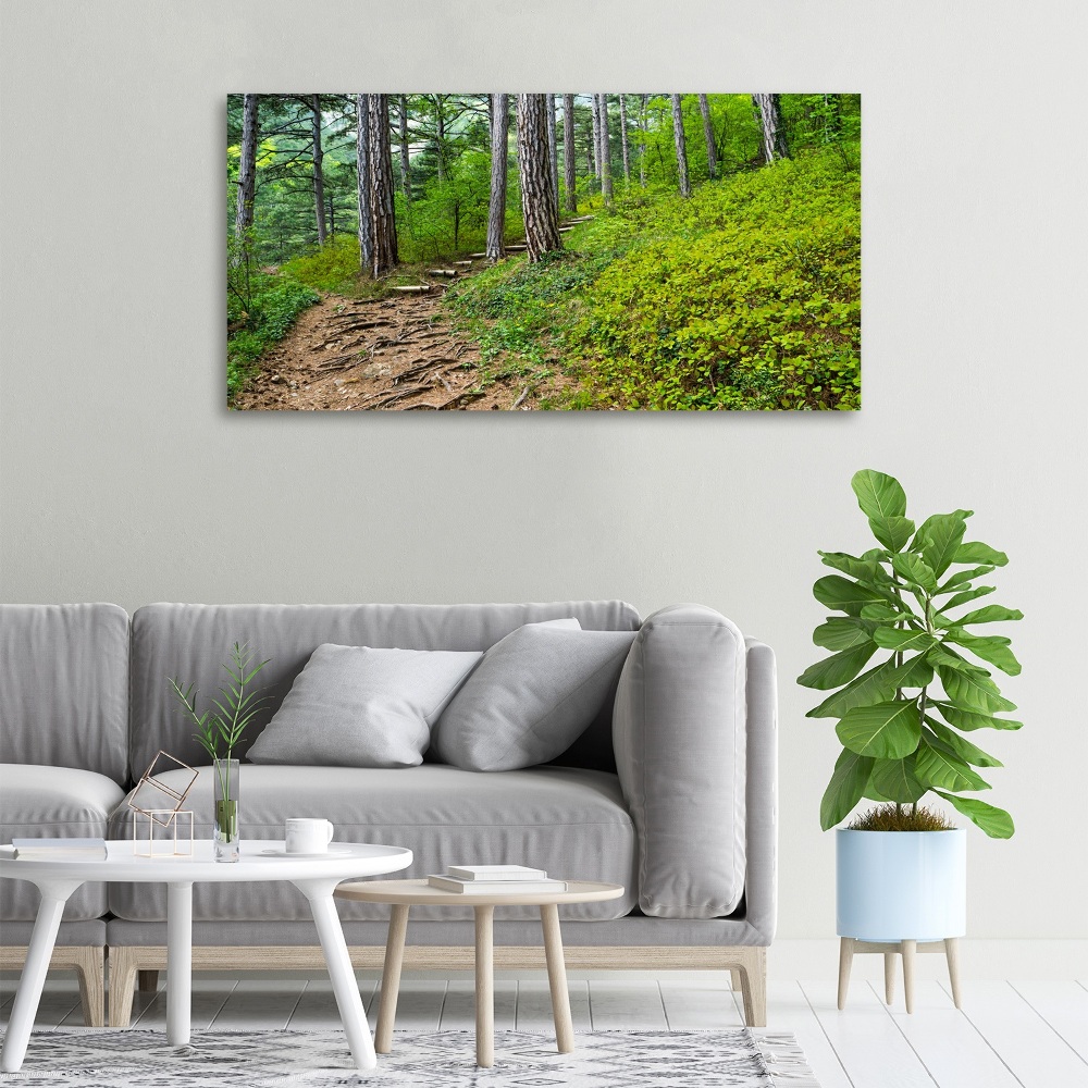 Tableau imprimé sur toile Chemin de forêt