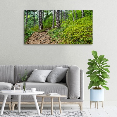 Tableau imprimé sur toile Chemin de forêt