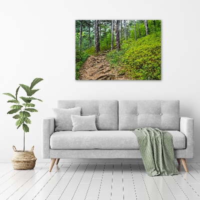 Tableau imprimé sur toile Chemin de forêt