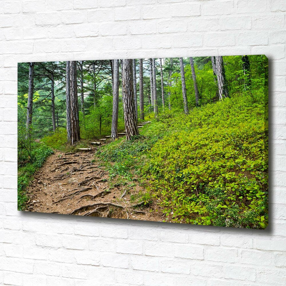 Tableau imprimé sur toile Chemin de forêt