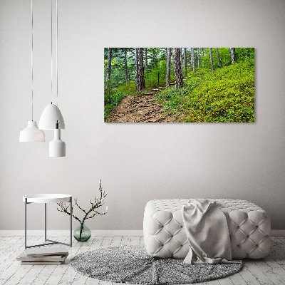 Tableau imprimé sur toile Chemin de forêt