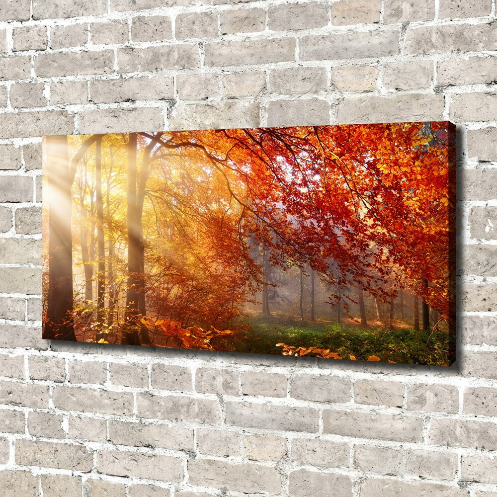 Tableau sur toile La forêt d'automne