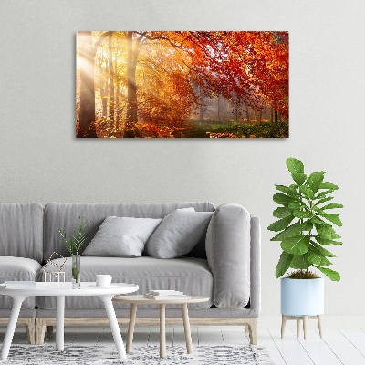 Tableau sur toile La forêt d'automne