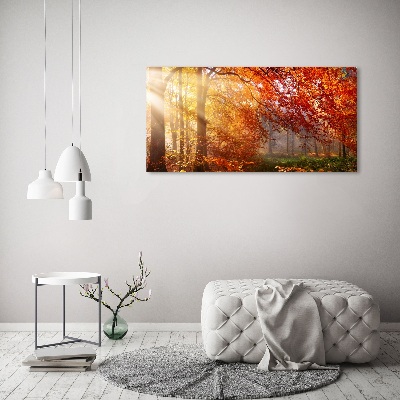 Tableau sur toile La forêt d'automne