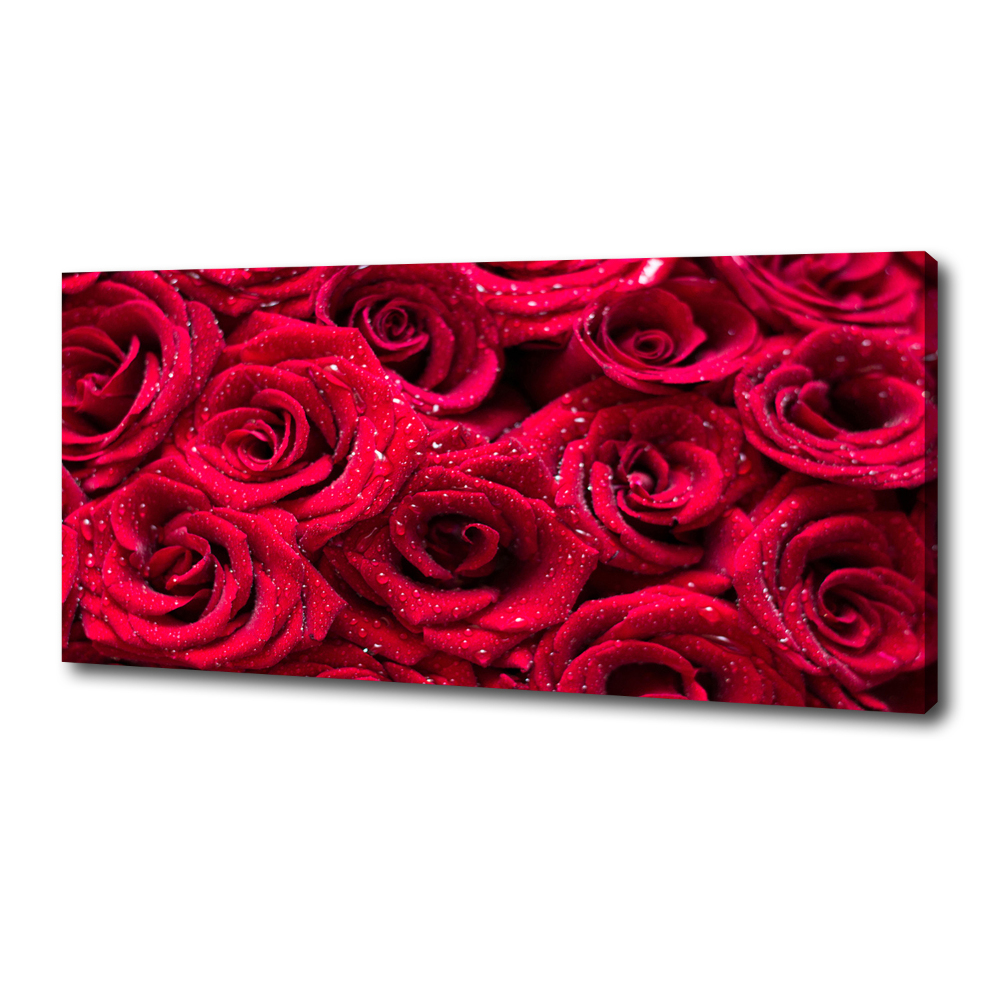 Tableau photo sur toile Gouttes sur roses