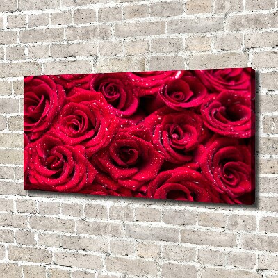 Tableau photo sur toile Gouttes sur roses