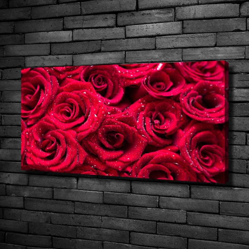 Tableau photo sur toile Gouttes sur roses