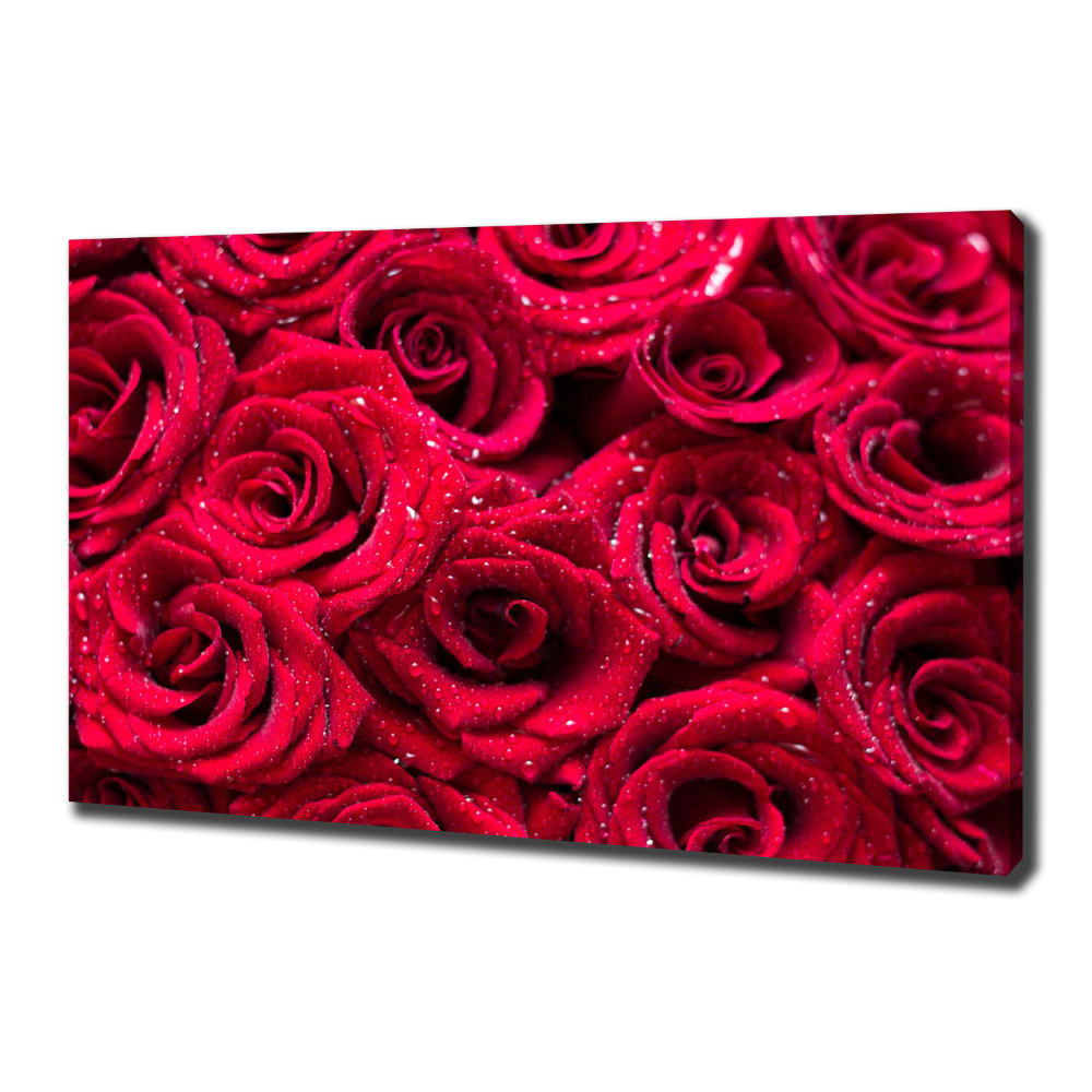 Tableau photo sur toile Gouttes sur roses