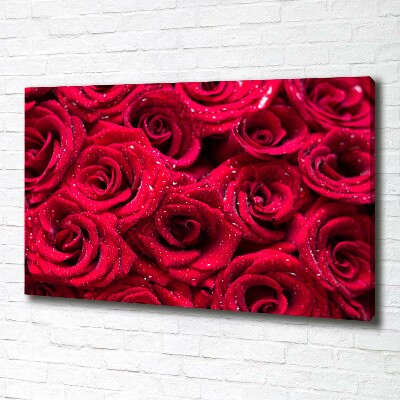 Tableau photo sur toile Gouttes sur roses