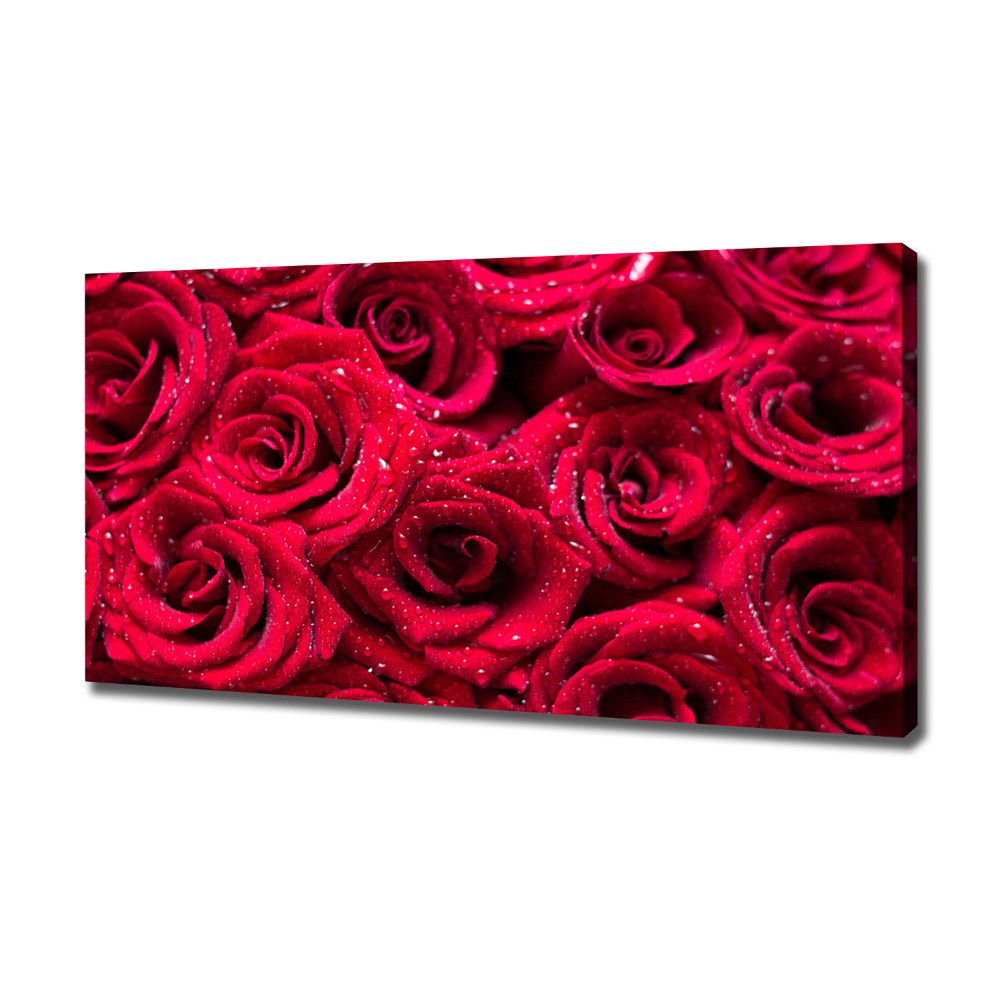 Tableau photo sur toile Gouttes sur roses