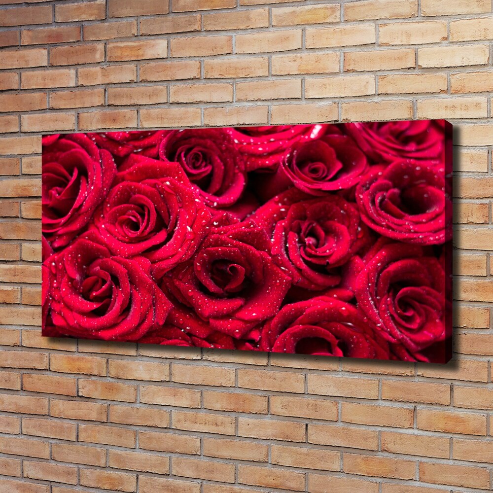 Tableau photo sur toile Gouttes sur roses