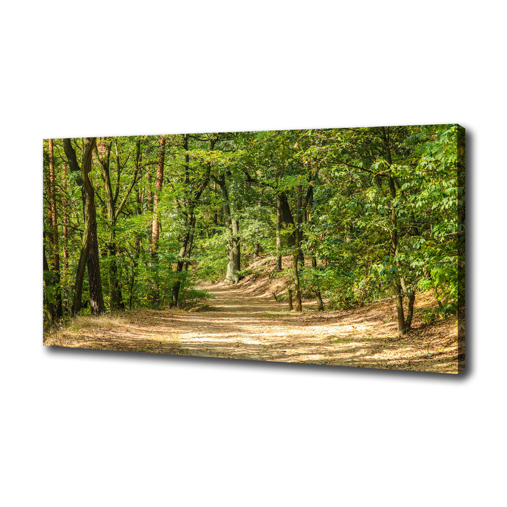 Tableau mural sur toile Sentier forestier