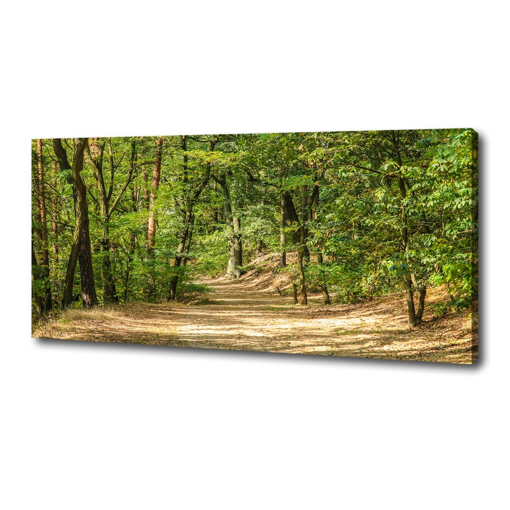 Tableau mural sur toile Sentier forestier