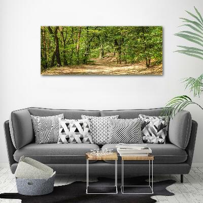 Tableau mural sur toile Sentier forestier