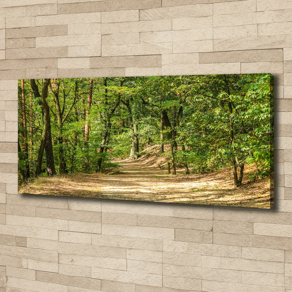 Tableau mural sur toile Sentier forestier