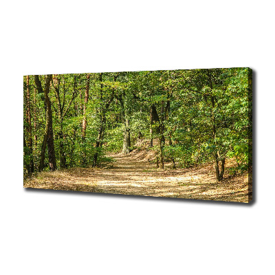 Tableau mural sur toile Sentier forestier