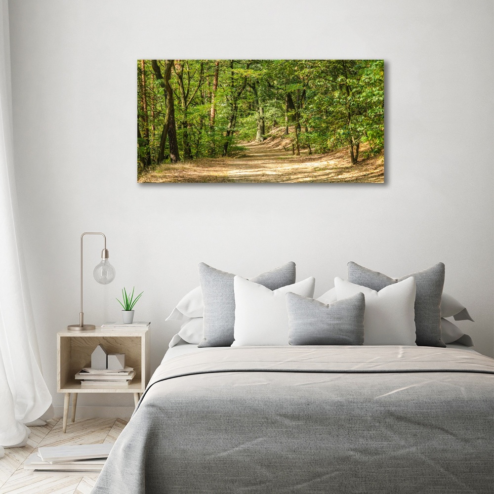 Tableau mural sur toile Sentier forestier