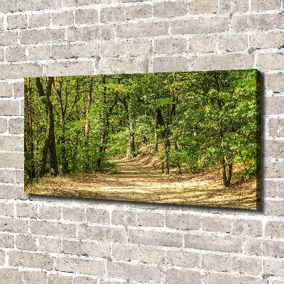 Tableau mural sur toile Sentier forestier