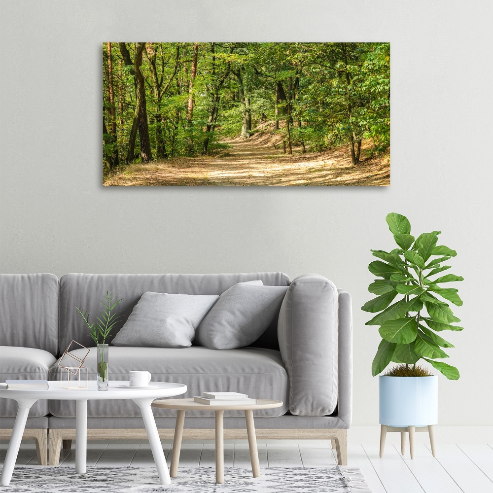 Tableau mural sur toile Sentier forestier