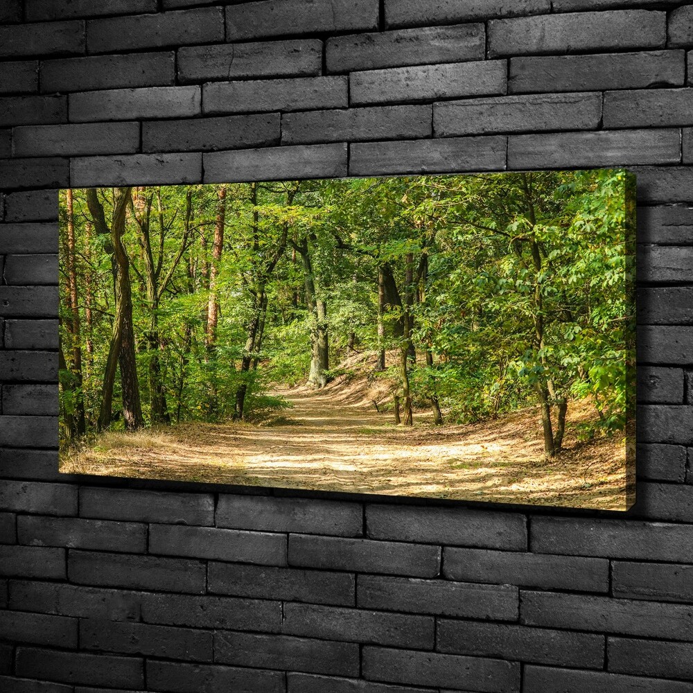 Tableau mural sur toile Sentier forestier