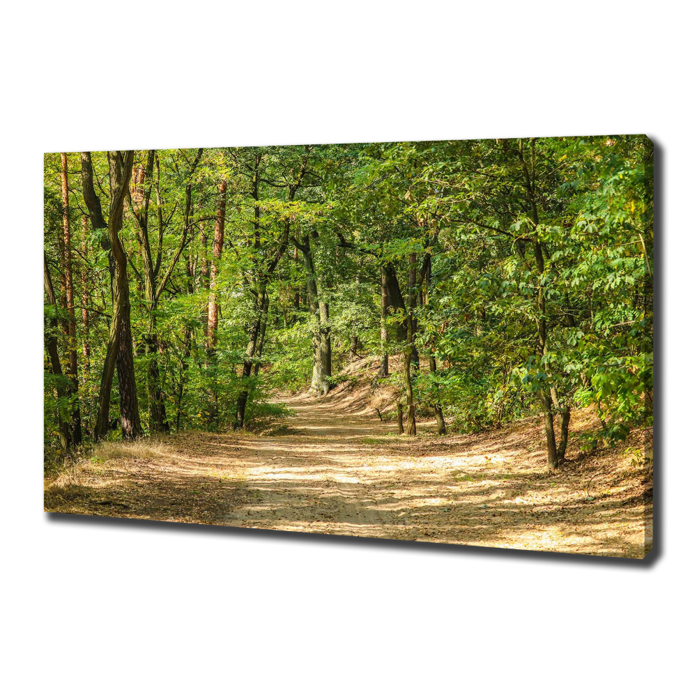 Tableau mural sur toile Sentier forestier