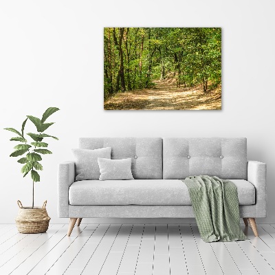 Tableau mural sur toile Sentier forestier