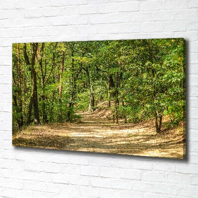 Tableau mural sur toile Sentier forestier