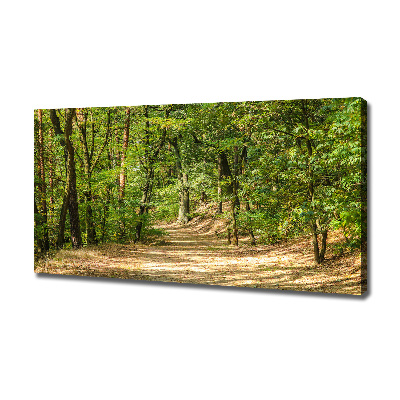 Tableau mural sur toile Sentier forestier