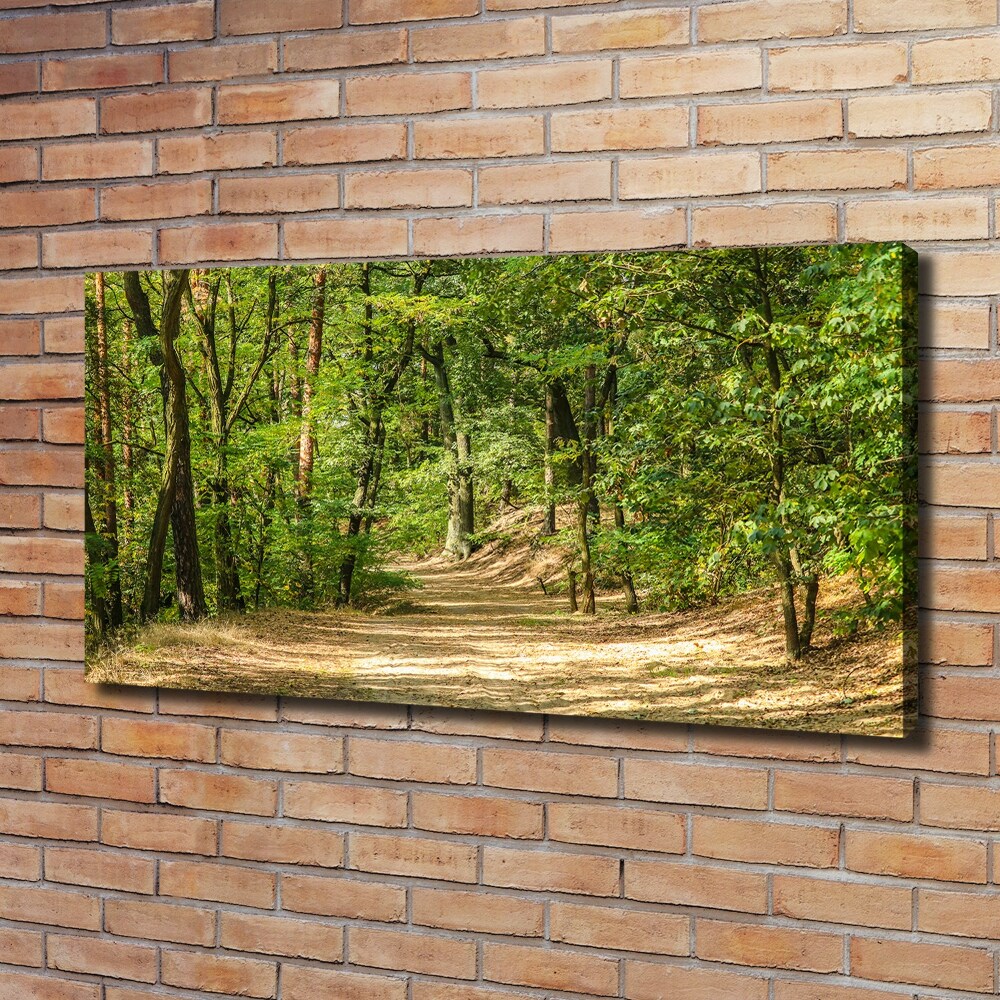 Tableau mural sur toile Sentier forestier