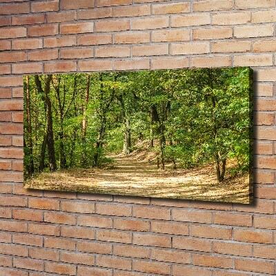 Tableau mural sur toile Sentier forestier