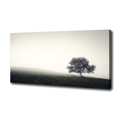 Tableau toile imprimée Arbre solitaire