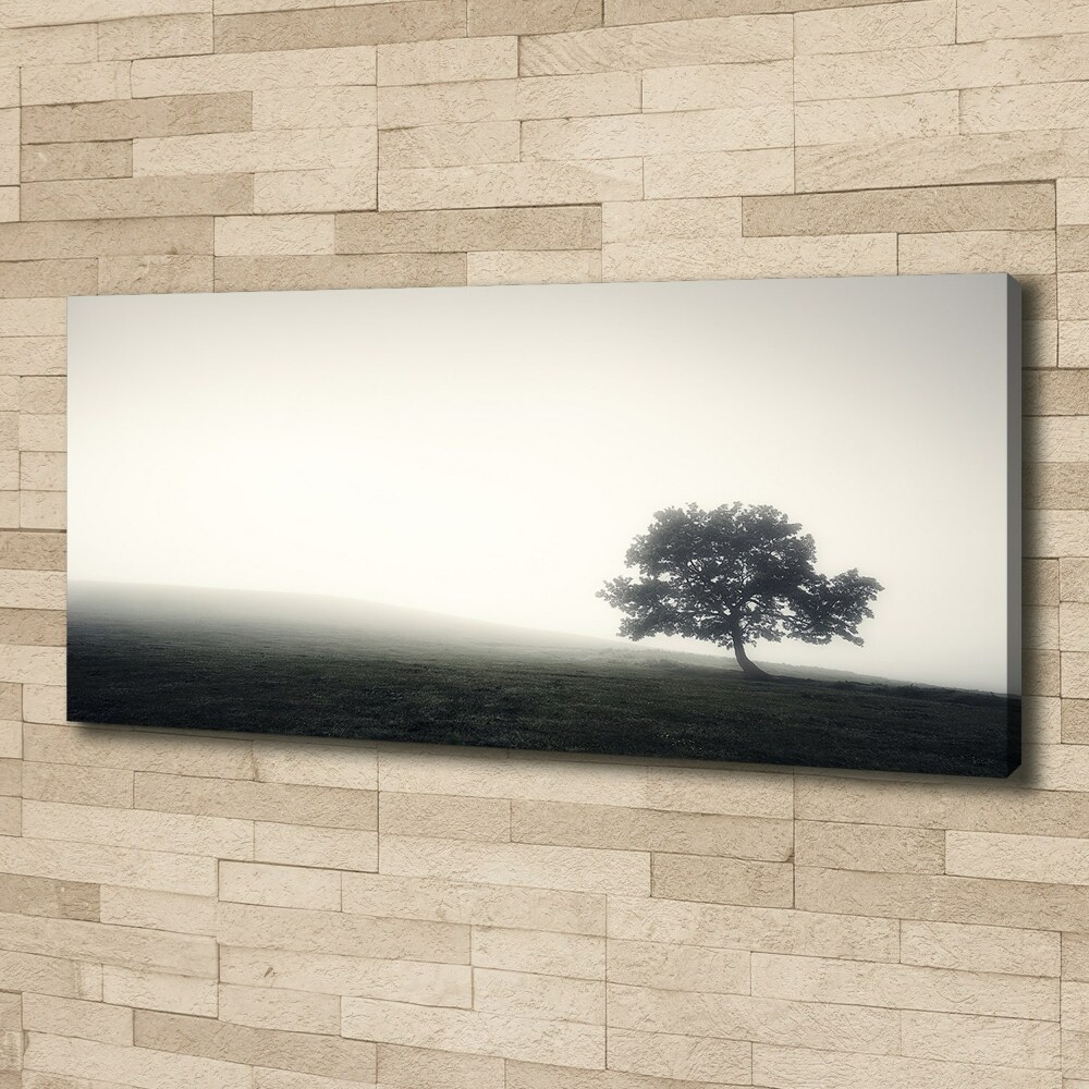 Tableau toile imprimée Arbre solitaire