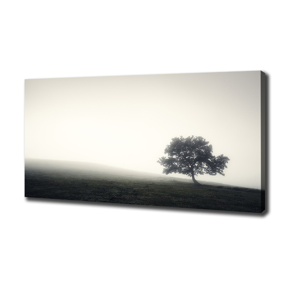 Tableau toile imprimée Arbre solitaire