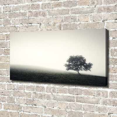 Tableau toile imprimée Arbre solitaire