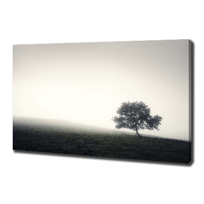 Tableau toile imprimée Arbre solitaire