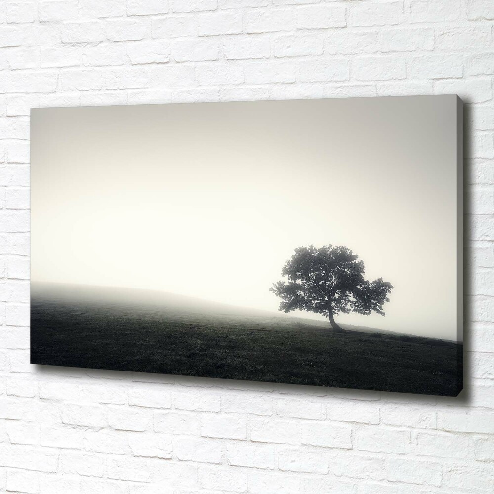 Tableau toile imprimée Arbre solitaire