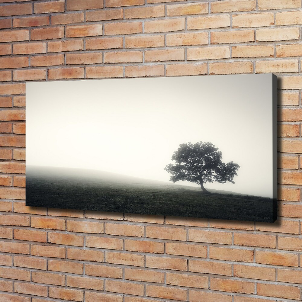 Tableau toile imprimée Arbre solitaire