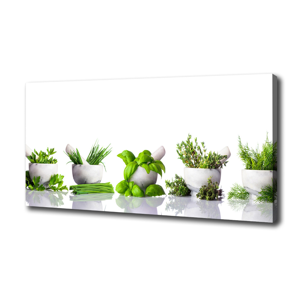 Tableau toile imprimée Herbes