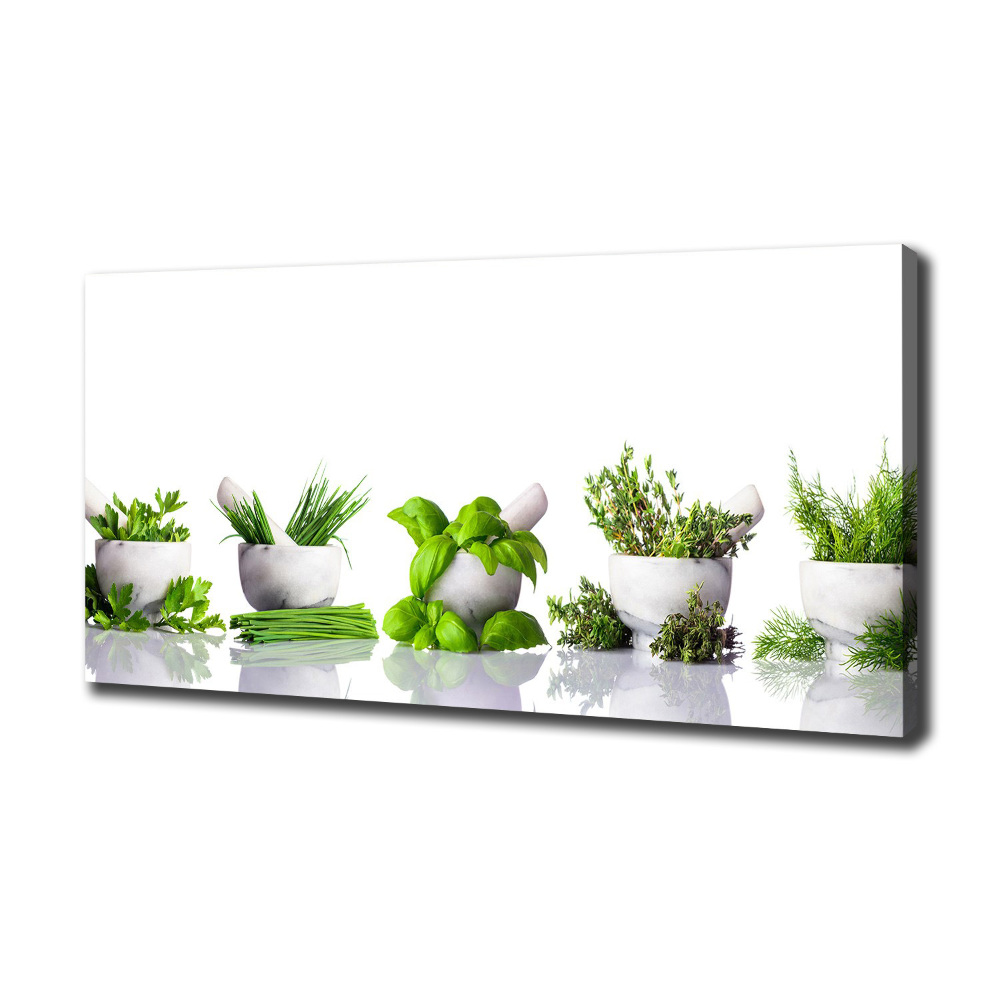 Tableau toile imprimée Herbes