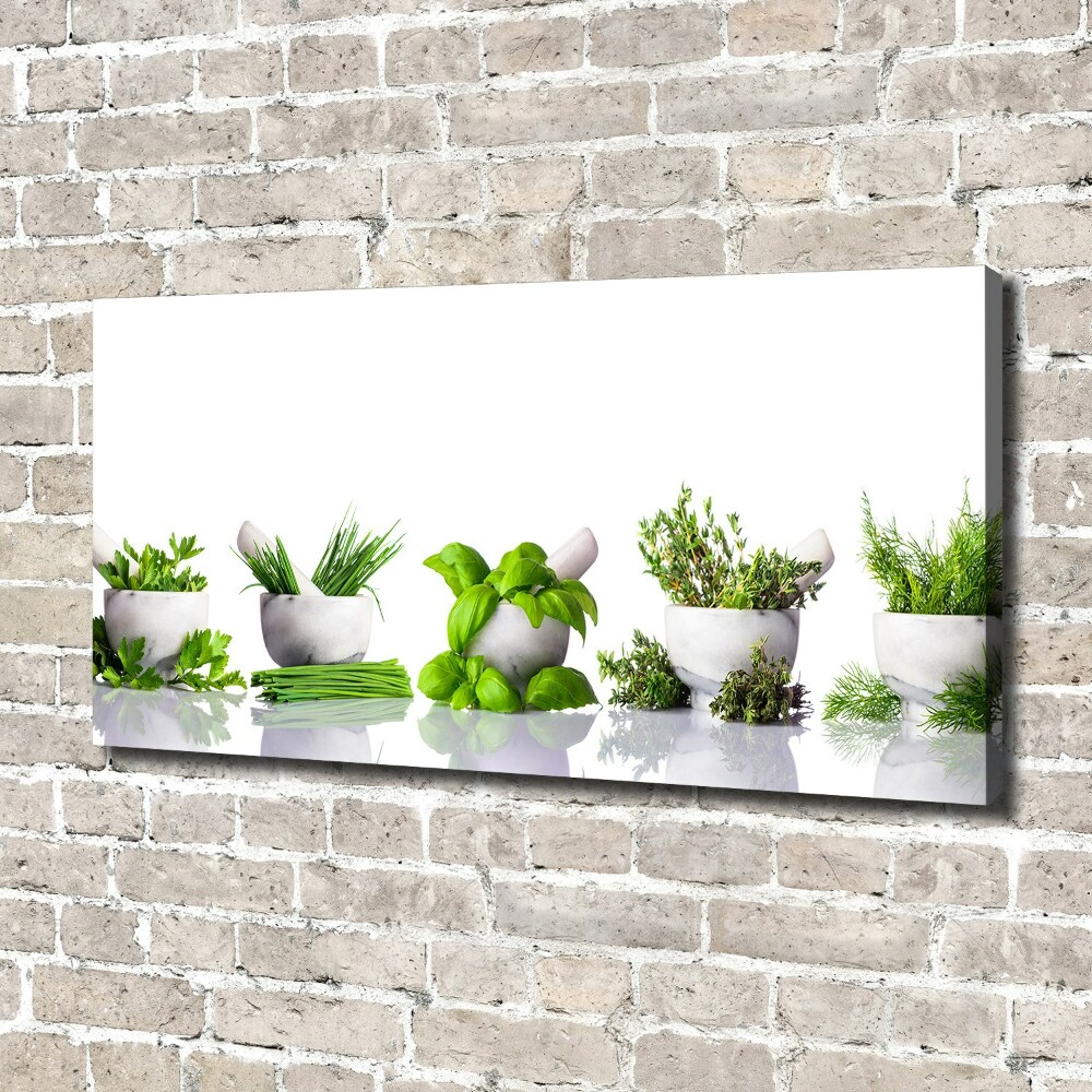 Tableau toile imprimée Herbes